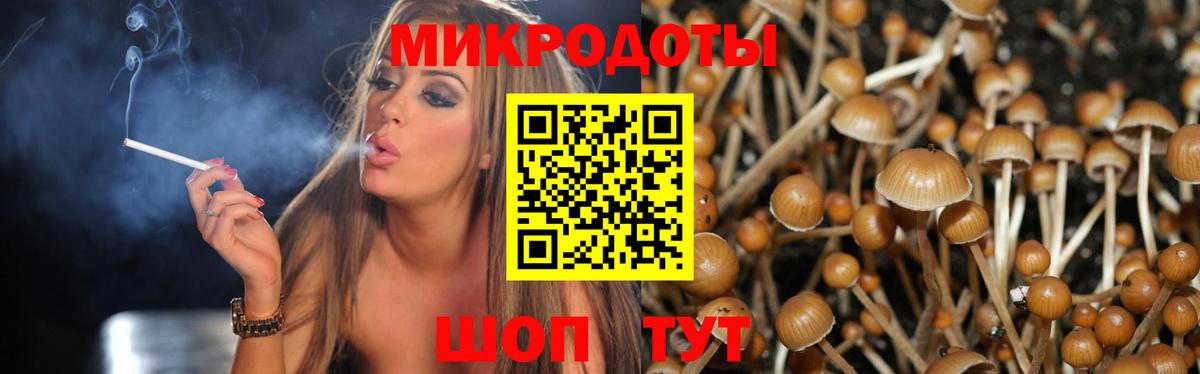 Сегежа  как найти наркотики  Псилоцибиновые грибы Psilocybine cubensis  Вход с VPN  Галлюциногенные грибы Psilocybe 
